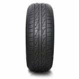 ALTENZO SPORTS EQUATOR (PCR)